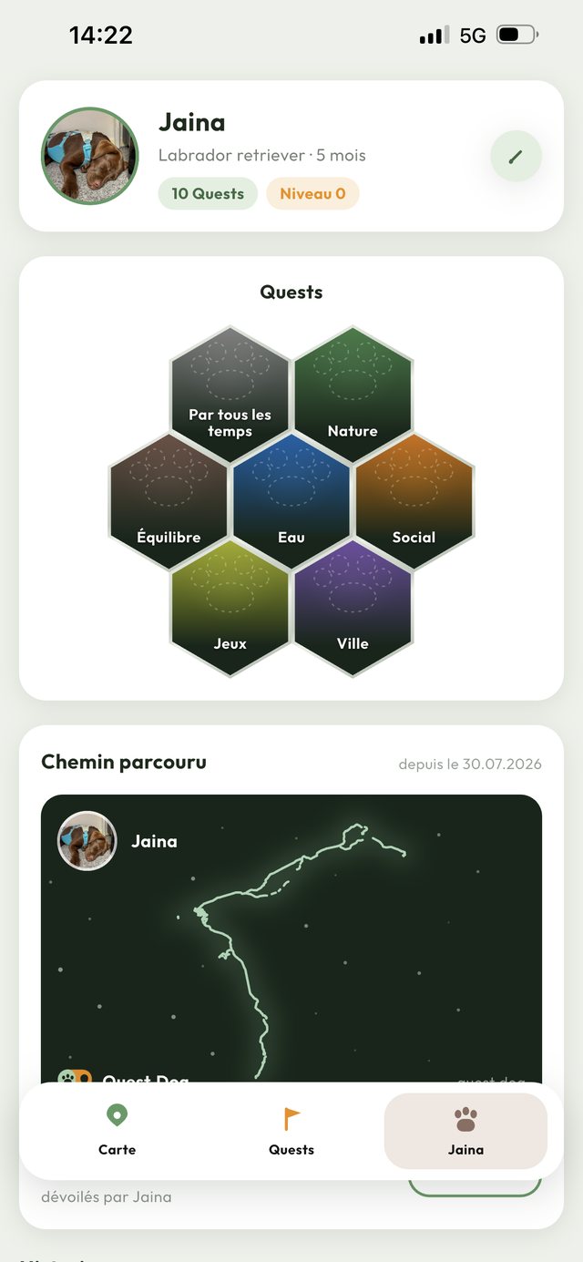 Profil du chien avec la ruche des sept familles