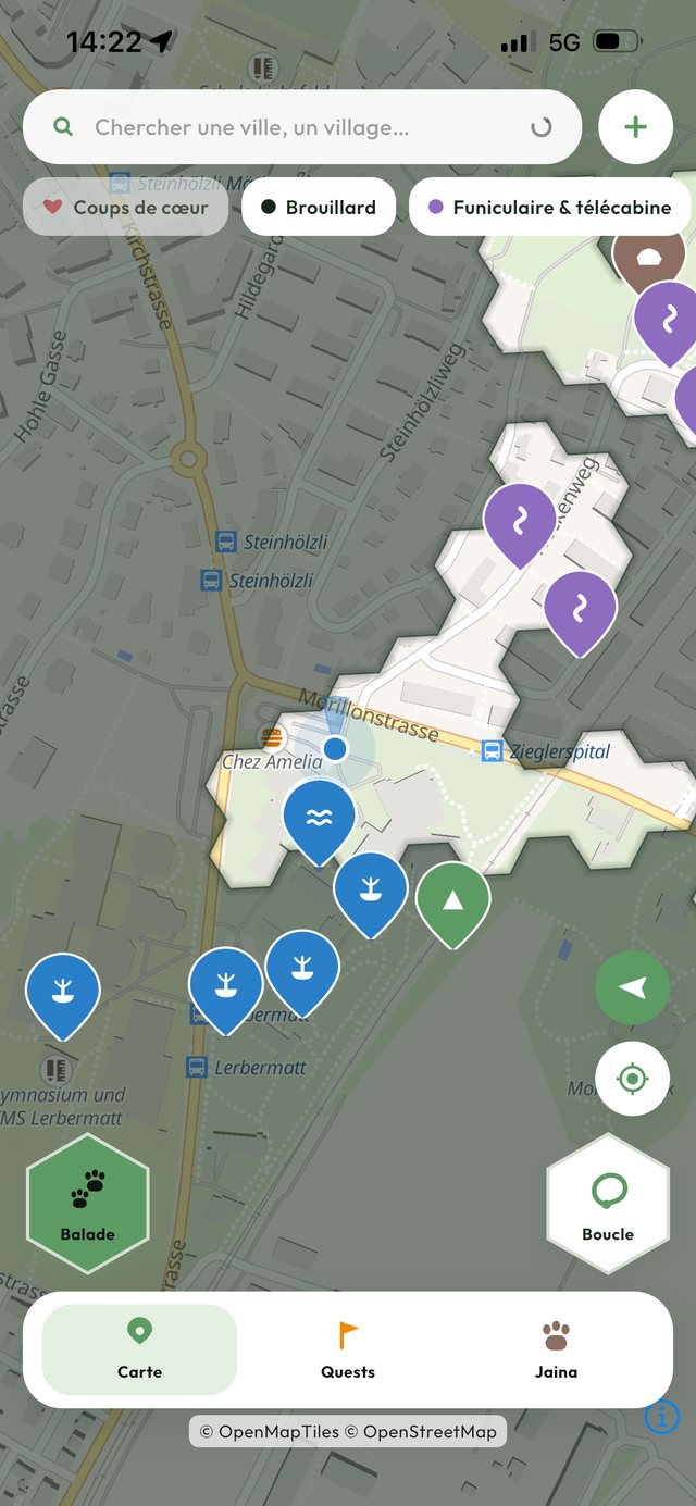 Carte des Quests autour de toi, avec le brouillard à dissiper